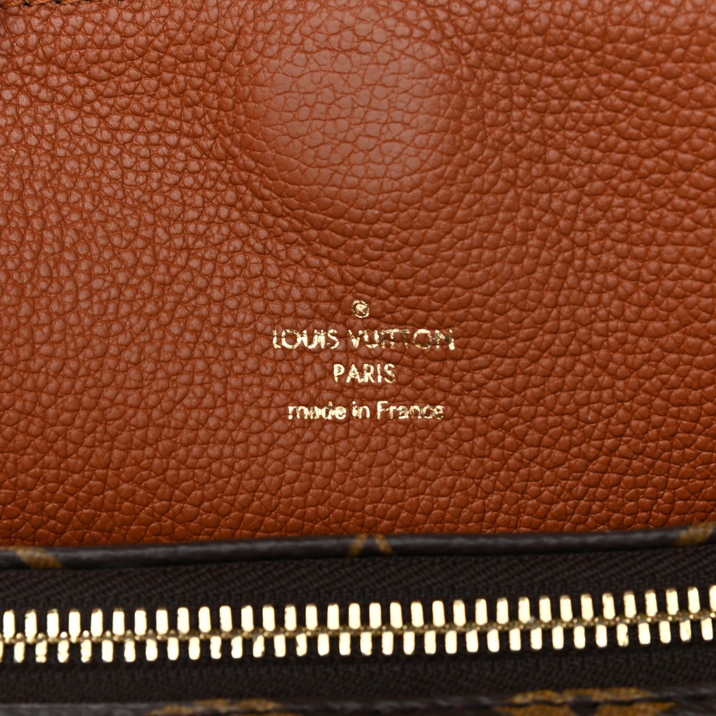 Monogram Manhattan NM Caramel