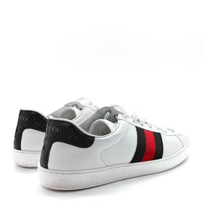 Gucci Miro Soft Calfskin Ayers Web Mens Ace Sneakers 10 White Blue 4 of 10