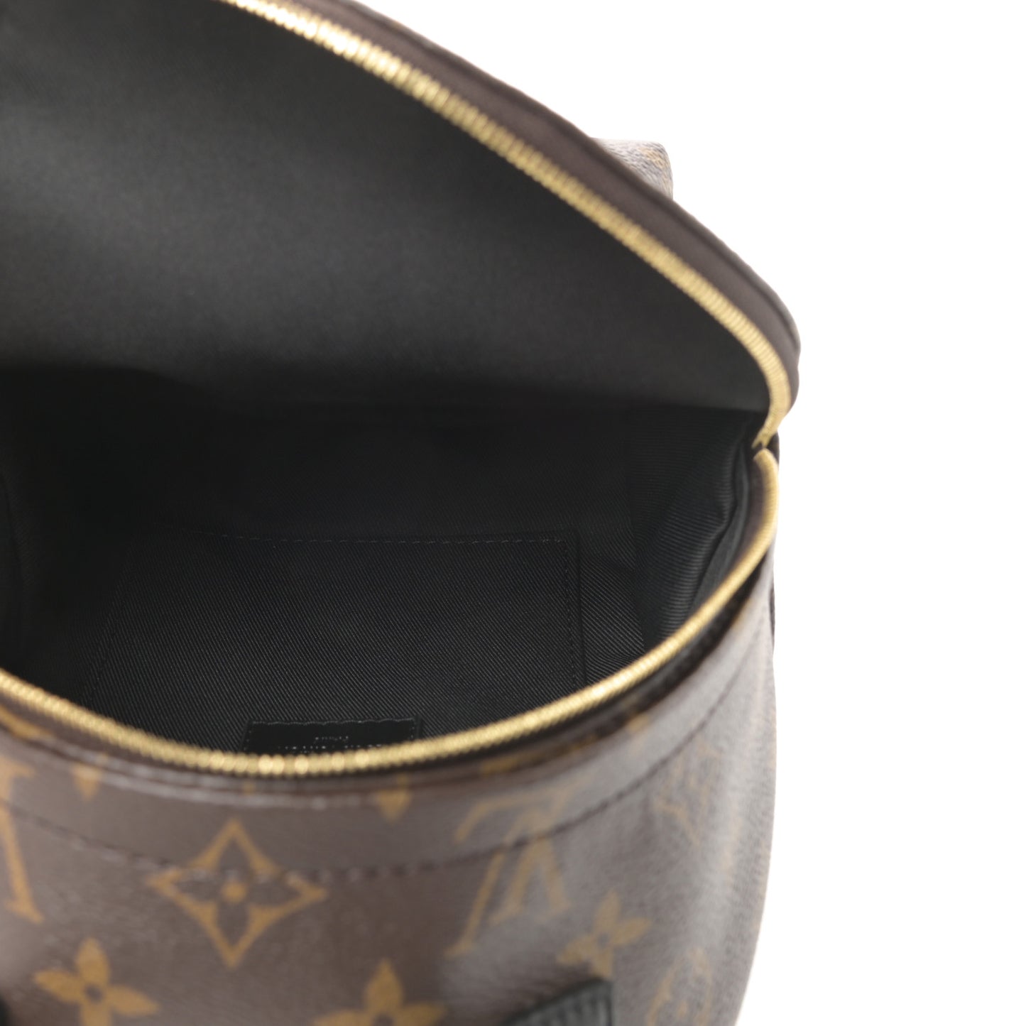 Monogram Palm Springs Backpack Mini