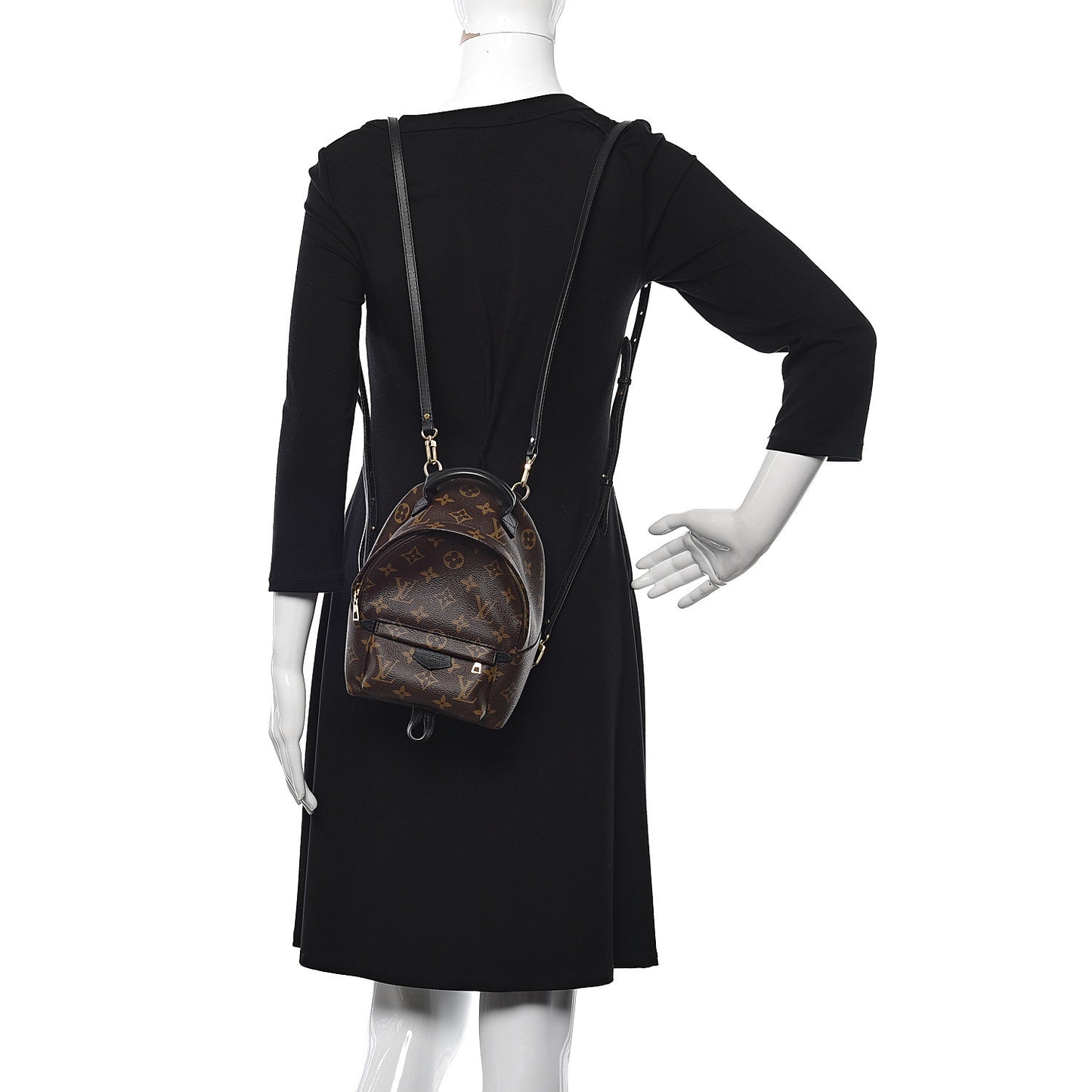 Monogram Palm Springs Backpack Mini