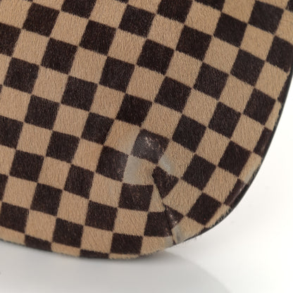 Louis Vuitton Calf Hair Damier Sauvage Tigre 12 of 14