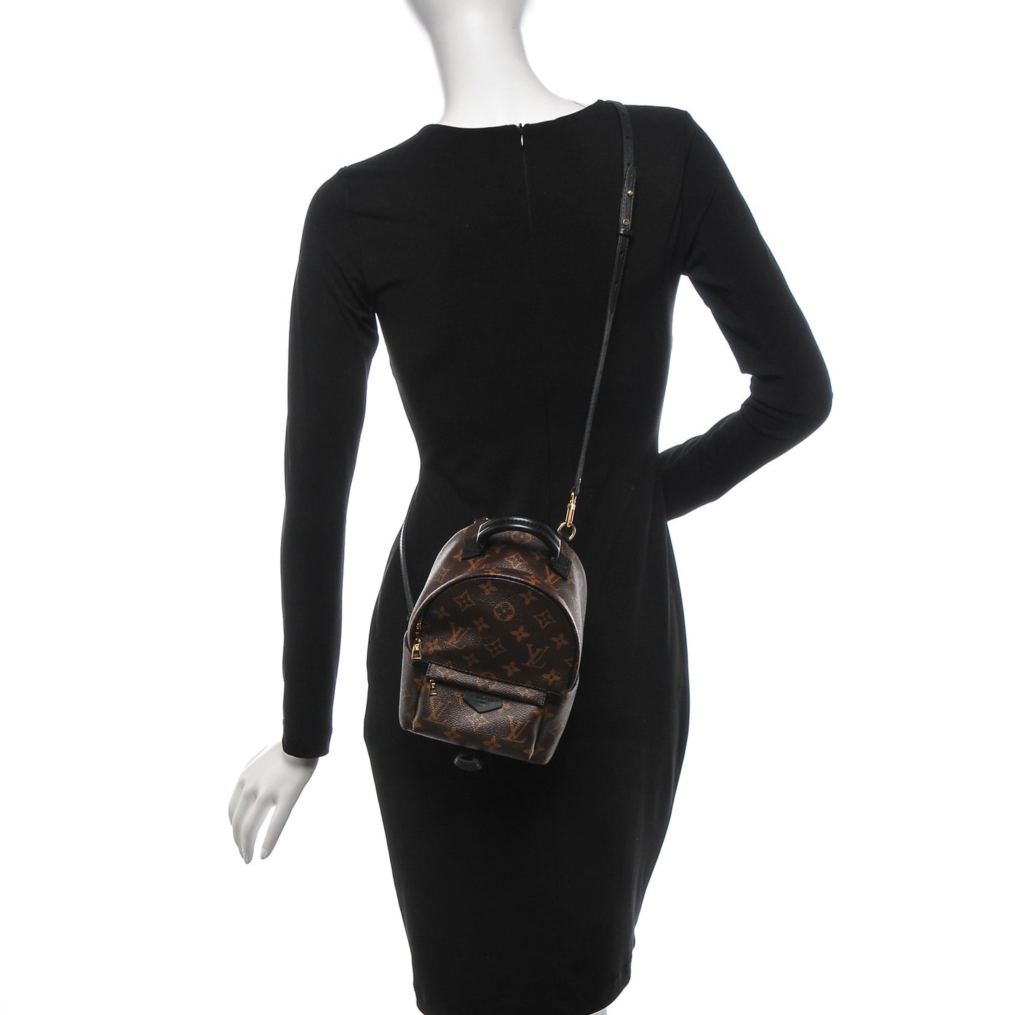 Monogram Palm Springs Backpack Mini