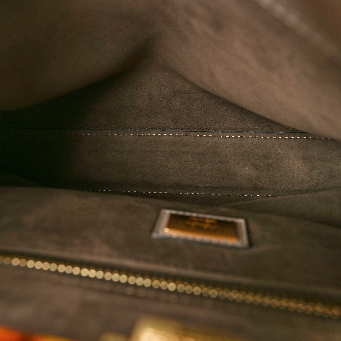 Vitello Seta Plexiglass Tortoise Medium Peekaboo Iconic Satchel Tortora
