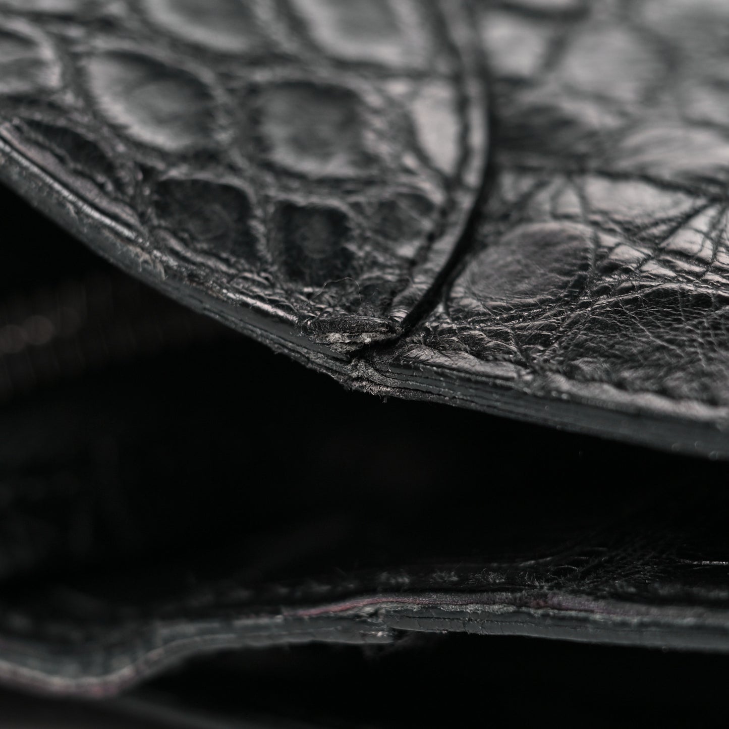 Crocodile City Black