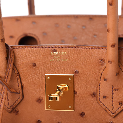 Hermes Ostrich Birkin 30 Cognac 8 of 11