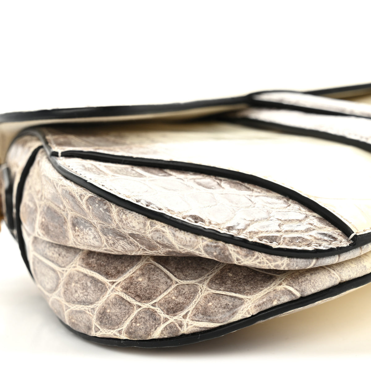 Christian Dior Niloticus Crocodile Himalaya Mini Saddle Bag Latte 9 of 11
