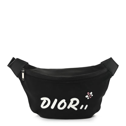 Christian Dior X KAWS Nylon Calfskin Bee Belt Bag Black 1 of 12
