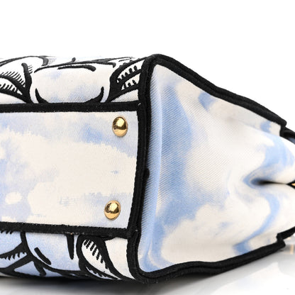 Fendi X JOSHUA VIDES Canvas Calfskin Flower Clouds Embroidered Medium Peekaboo Iconic Satchel California Sky 11 of 12