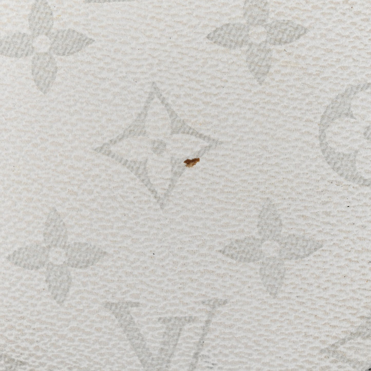Monogram Chalk Nano Bag White