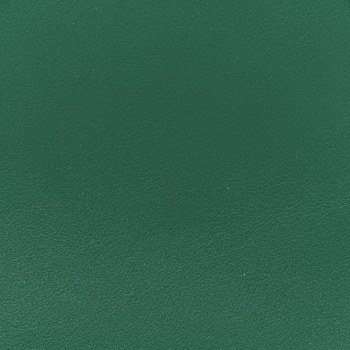 Wonka Grain Calfskin Small Diana Tote Bag Green Yellow Fluo