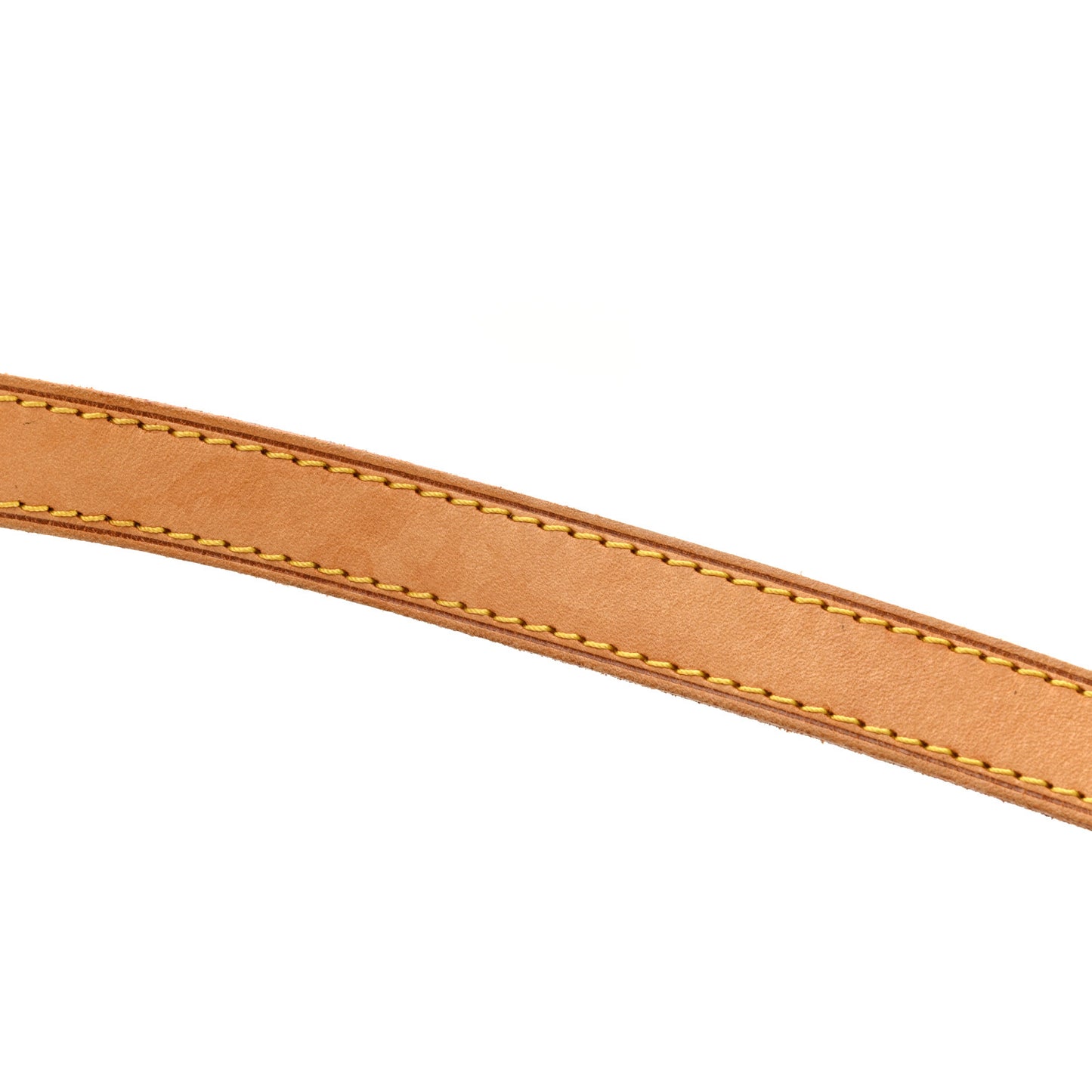 Monogram Viva-Cite PM