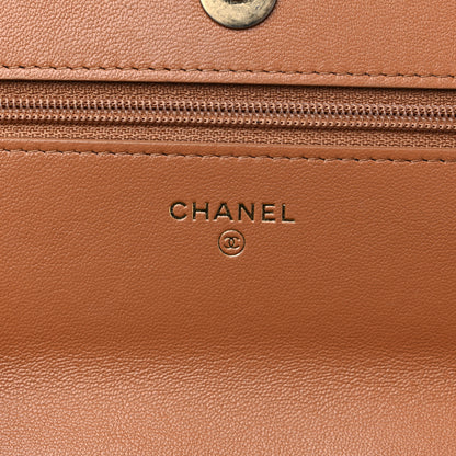 Chanel Lambskin Quilted Chanel 19 Wallet On Chain WOC Brown 6 of 13