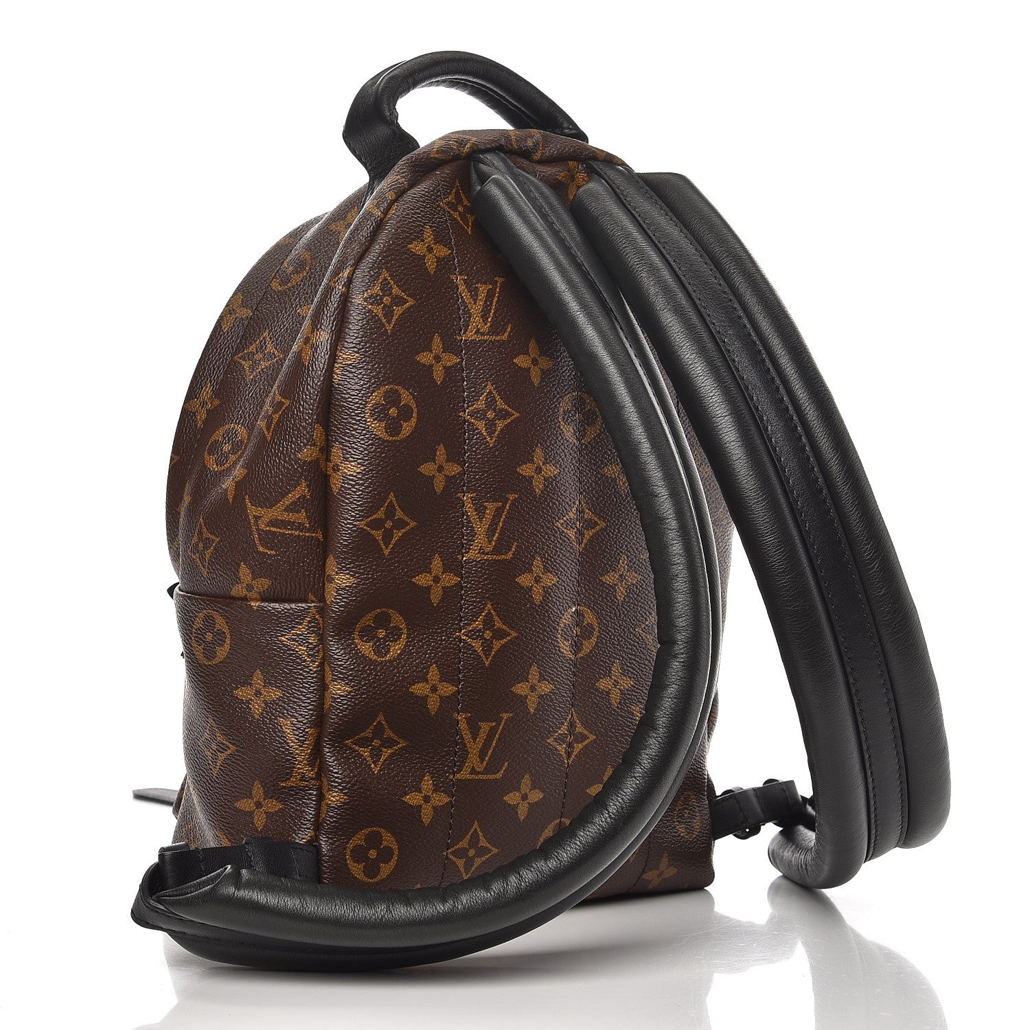 Louis Vuitton Monogram Palm Springs Backpack PM 3 of 6