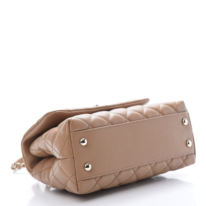 Chanel Caviar Quilted Lizard Embossed Mini Coco Handle Flap Brown 5 of 11