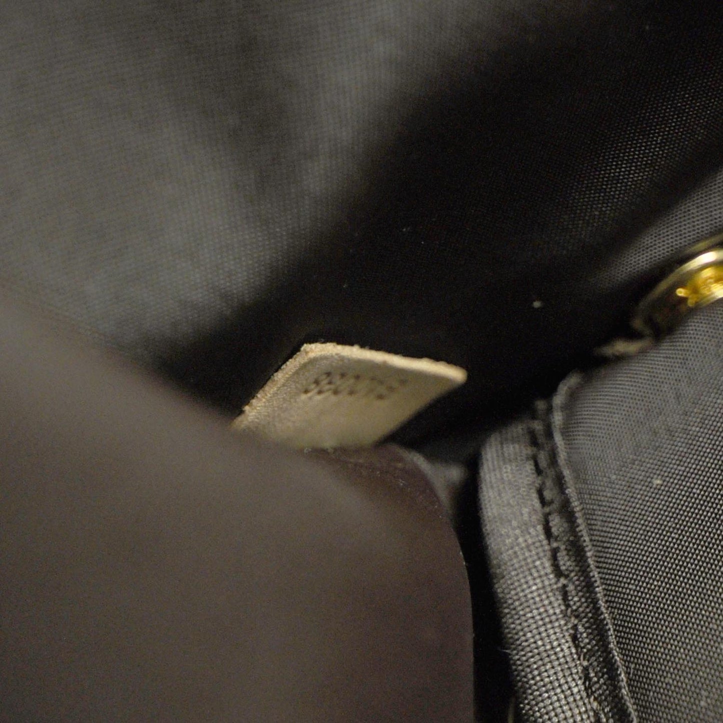 Monogram Baxter PM Dog Pet Carrier