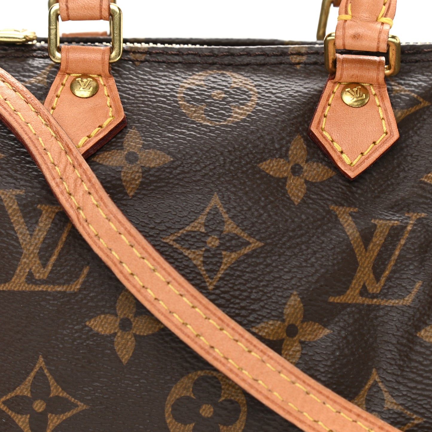 Monogram Nano Speedy