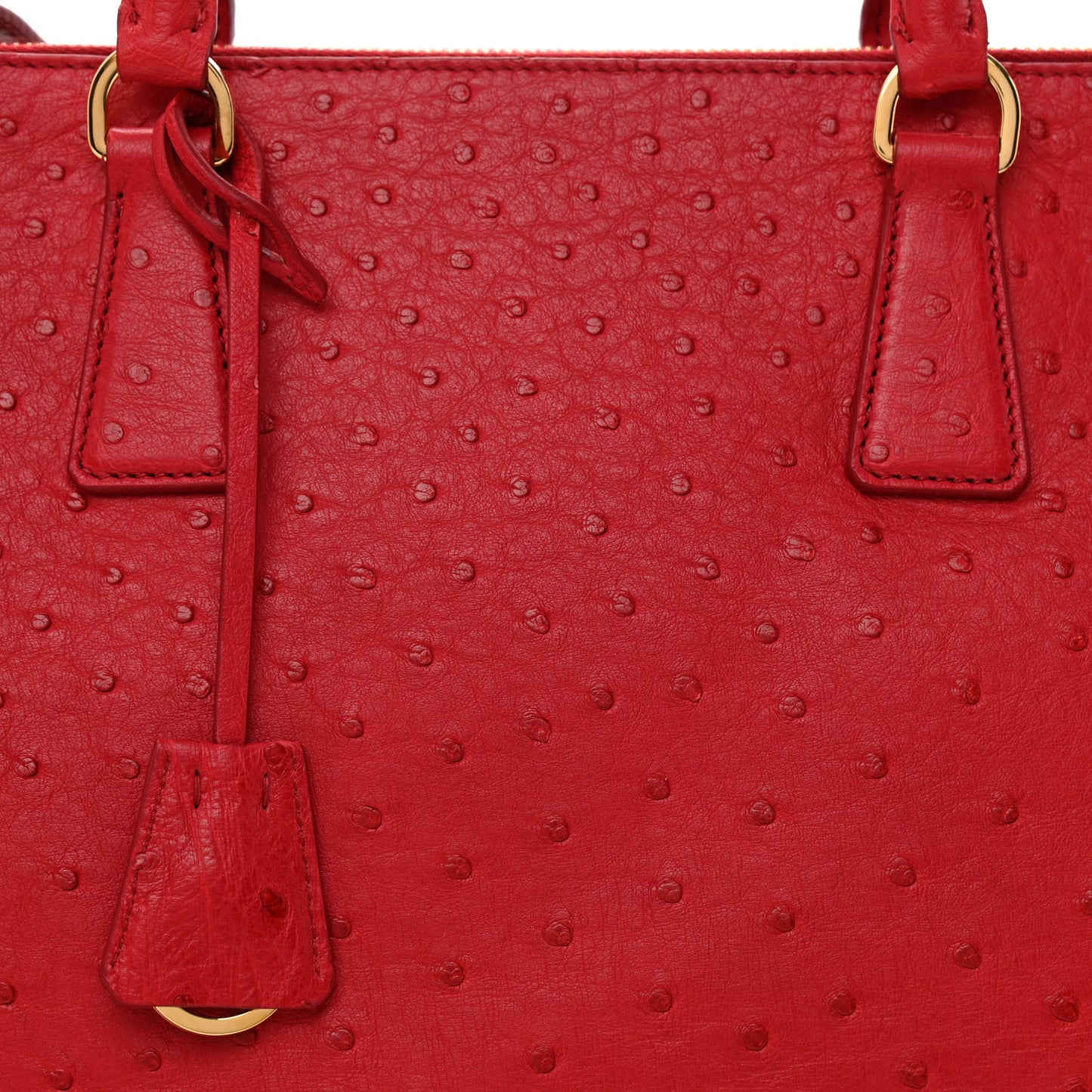 Ostrich Large Galleria Double Zip Tote Fuoco