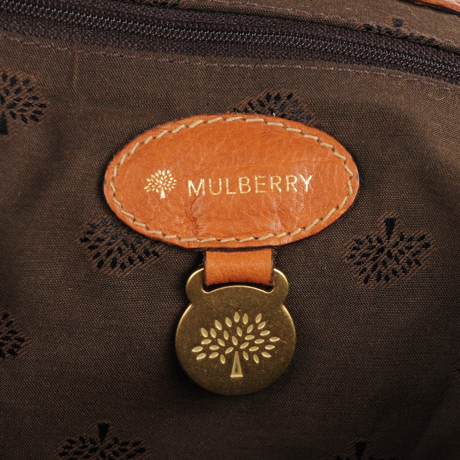 Mulberry Soft Buffalo Medium Alexa Oak 6 of 8