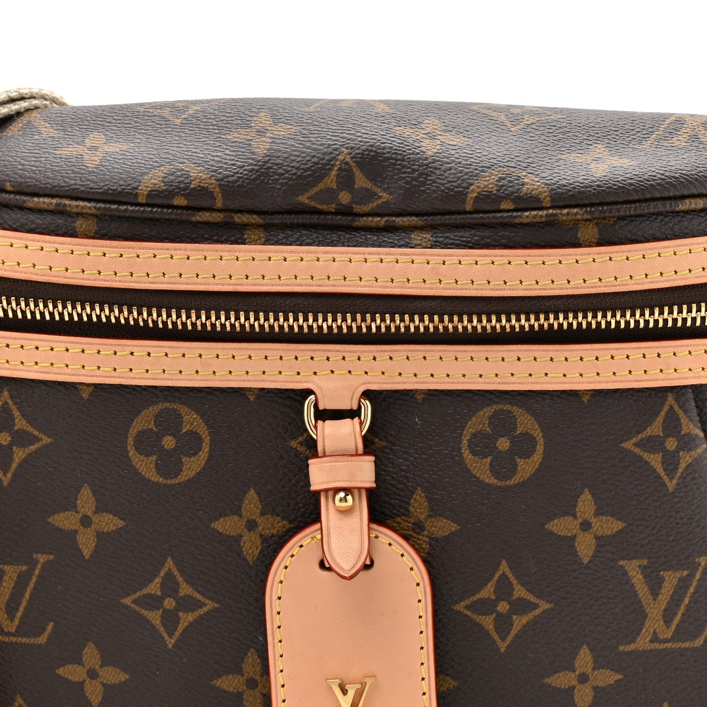 Monogram High Rise Bumbag