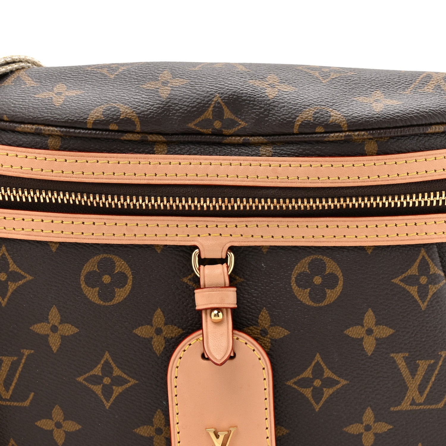 Louis Vuitton Monogram High Rise Bumbag 6 of 8
