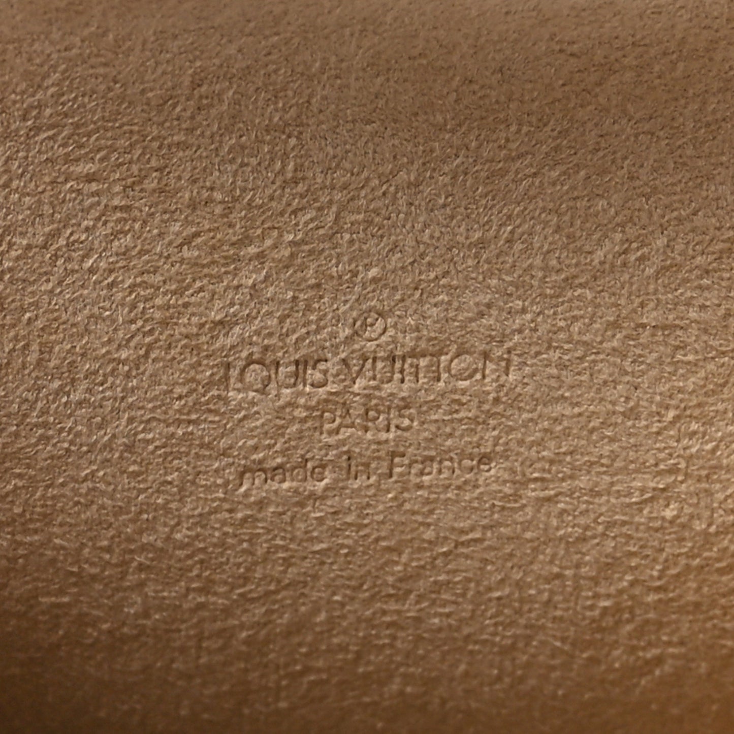 Monogram Pochette Florentine XS