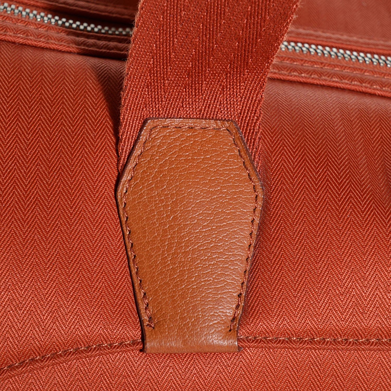 Hermes Toile Buffle Skipper TouTou Pet Carrier Potiron 10 of 16