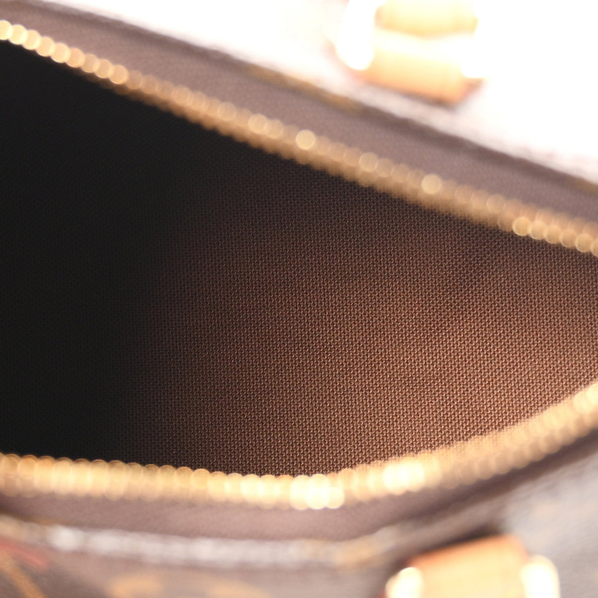 Monogram Nano Speedy