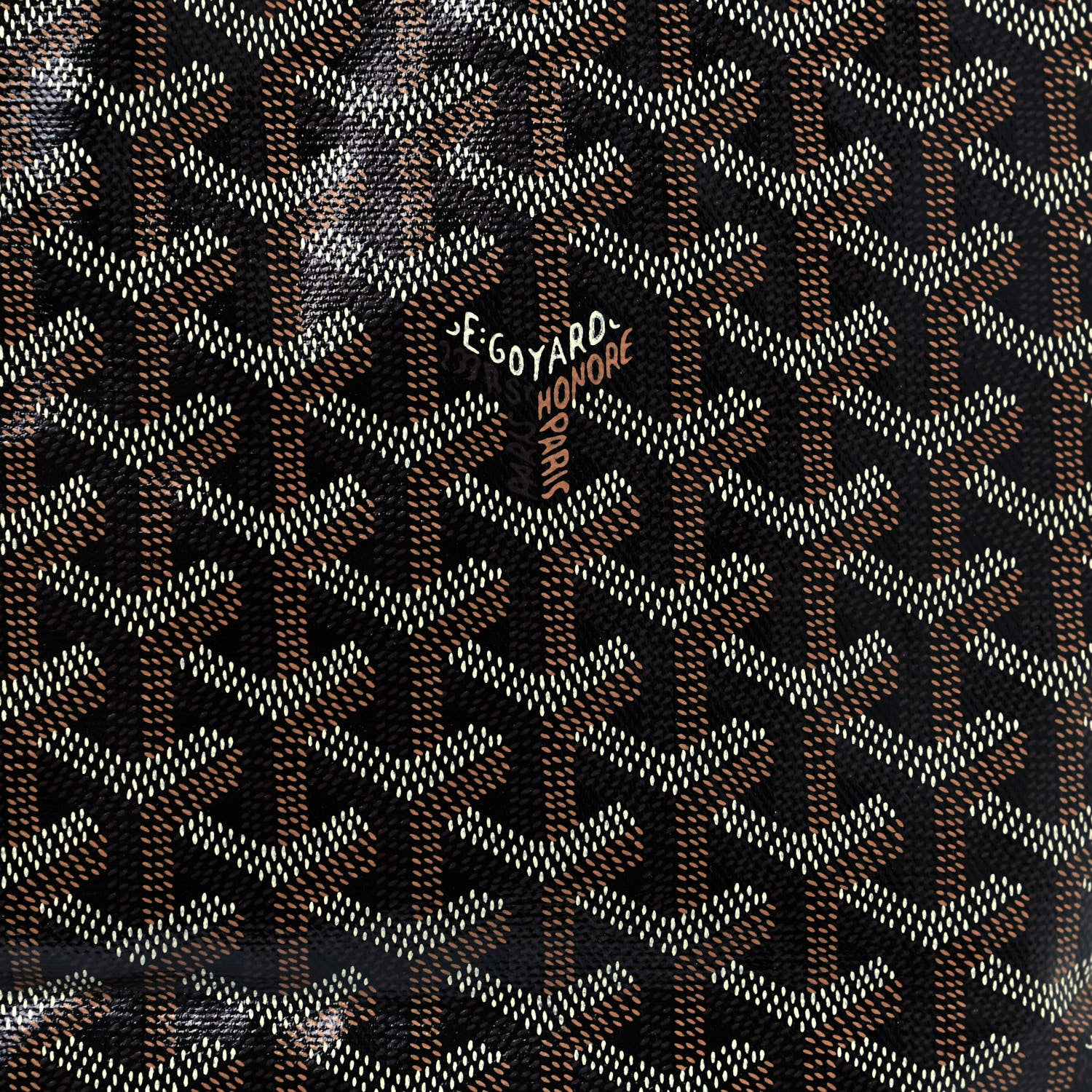 Goyard Goyardine Saint Louis PM Black 6 of 11
