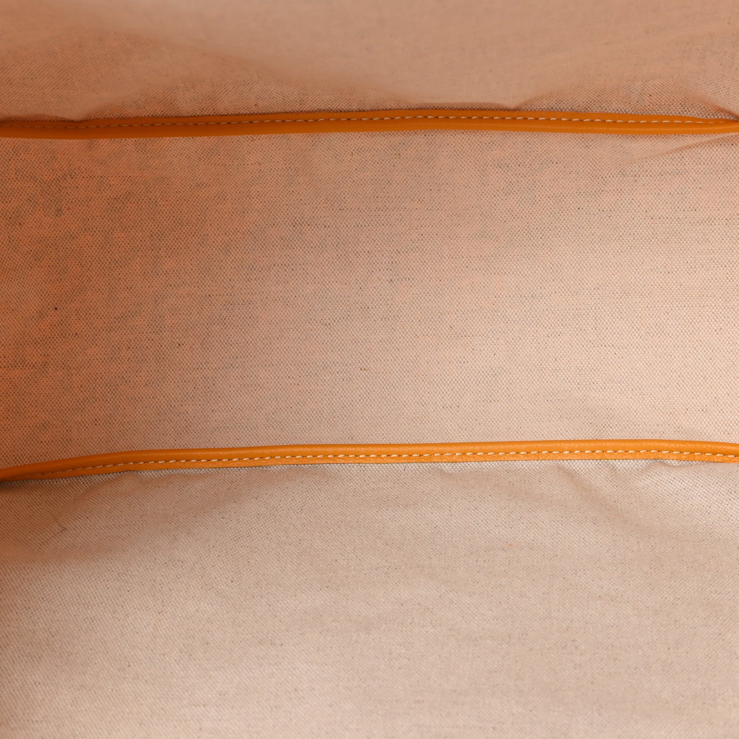 Goyard Goyardine Saint Louis PM Yellow 6 of 11