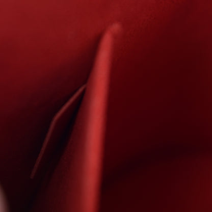 Louis Vuitton Epi Alma BB Coquelicot 6 of 10