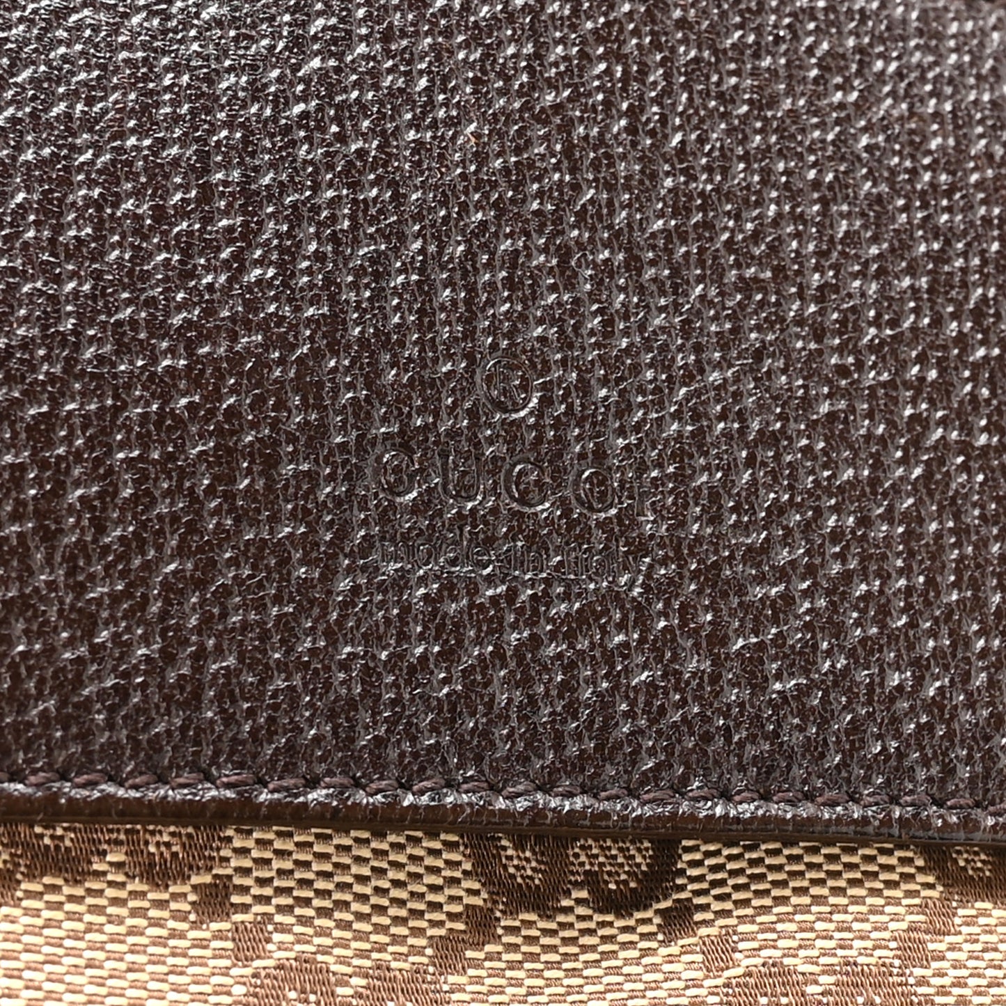 Monogram Web Belt Bag Dark Brown