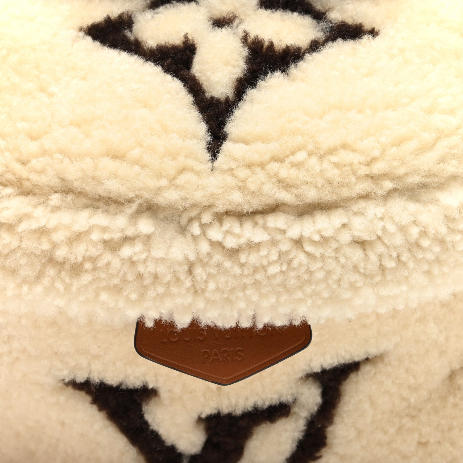 Louis Vuitton Monogram Teddy Bumbag 7 of 10