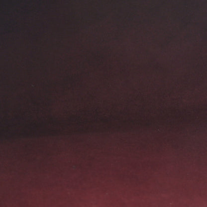 Louis Vuitton Monogram Flower Hobo 5 of 13