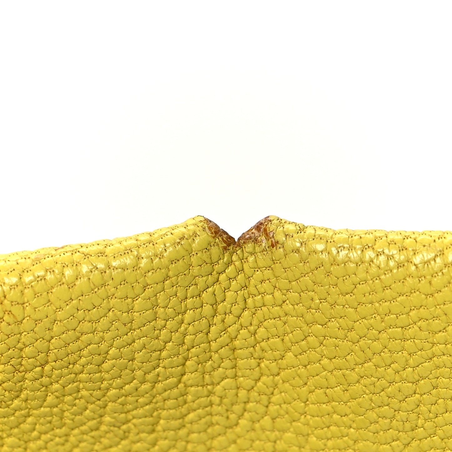 Chevre Mysore Calvi Card Case Lime