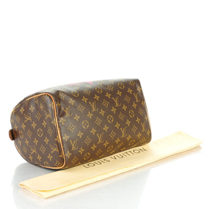 Louis Vuitton Monogram Speedy 30 V Grenade 4 of 7