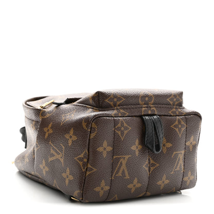 Louis Vuitton Monogram Palm Springs Backpack Mini 4 of 10