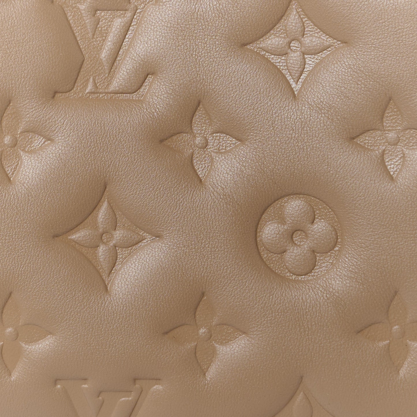 Lambskin Embossed Monogram Coussin MM