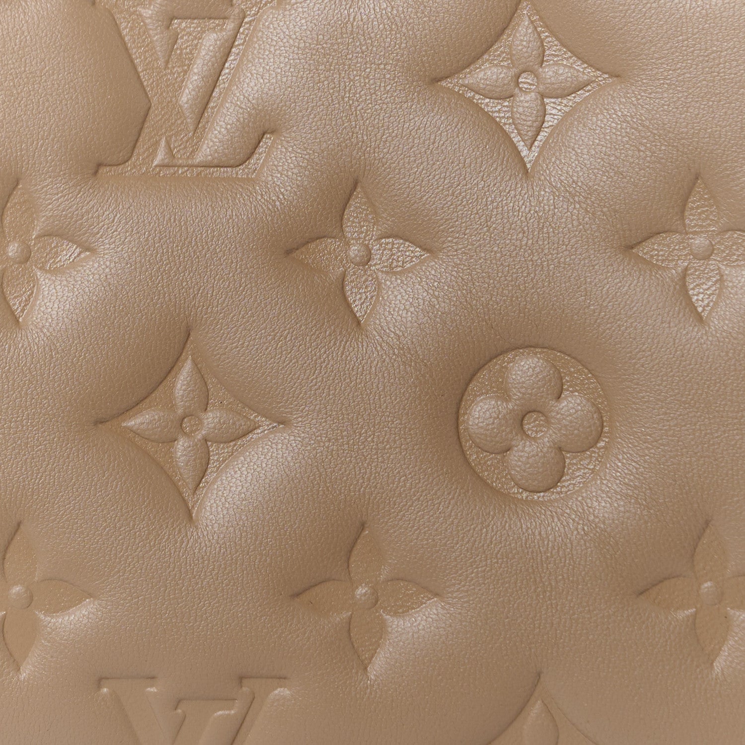 Louis Vuitton Lambskin Embossed Monogram Coussin MM 9 of 11