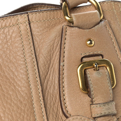 Prada Cervo Antik Shoulder Bag Naturale 23 of 26