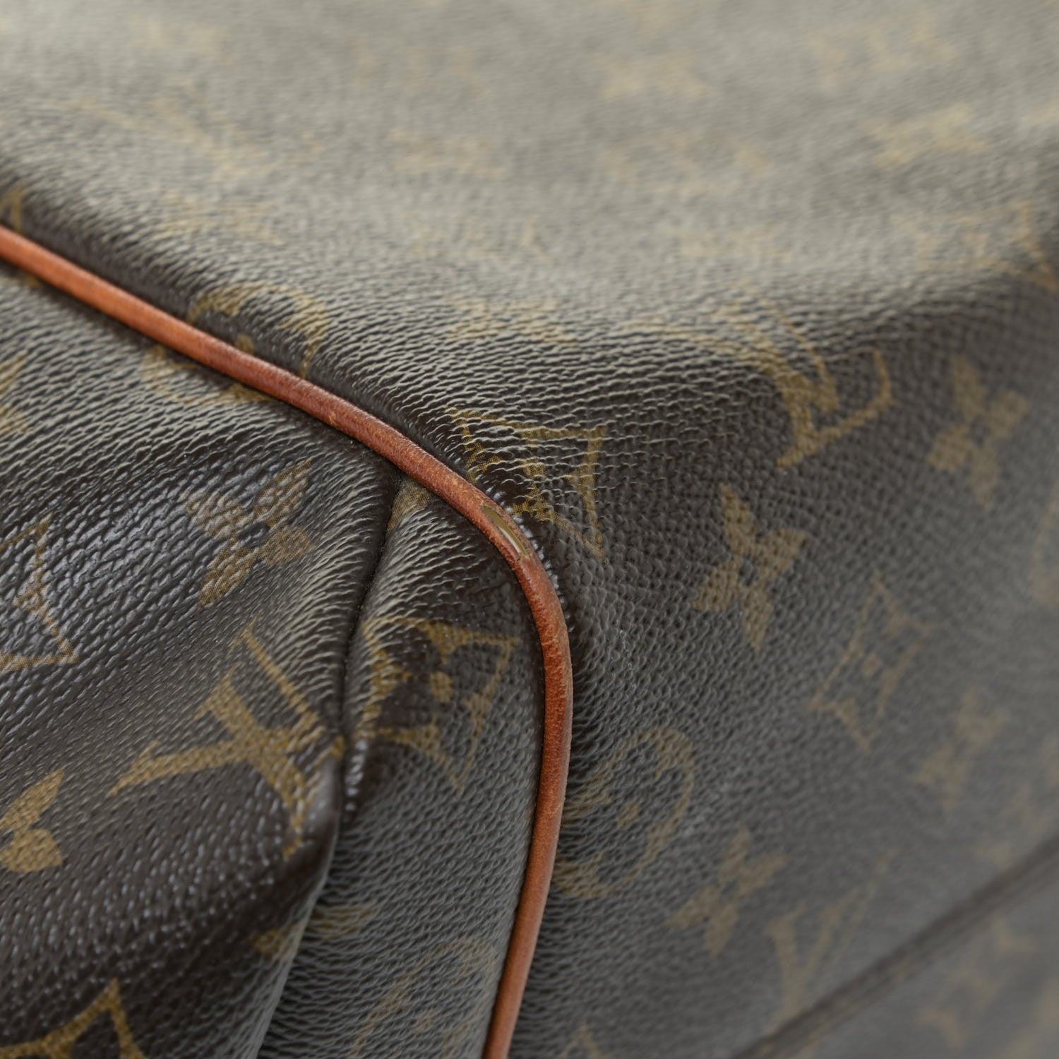 Louis Vuitton Monogram Totally MM 27 of 31