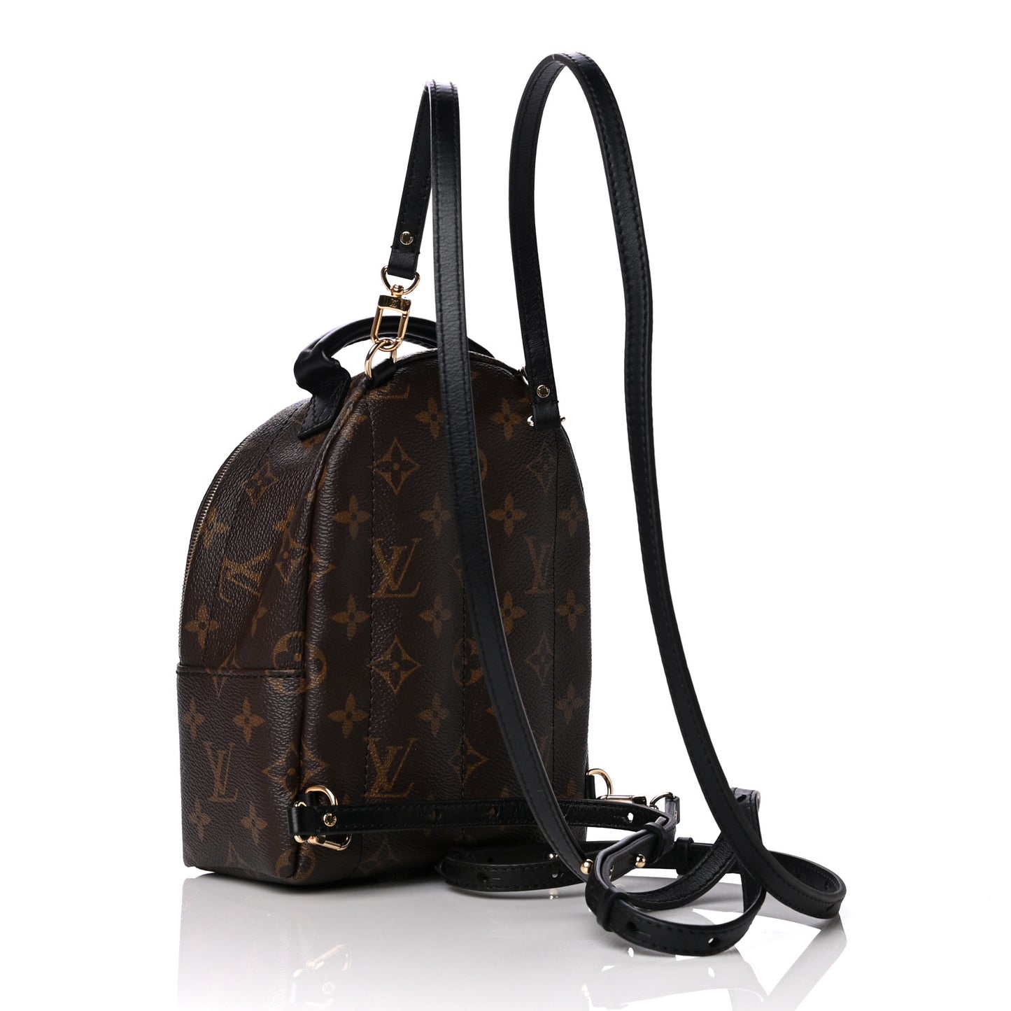 Monogram Palm Springs Backpack Mini