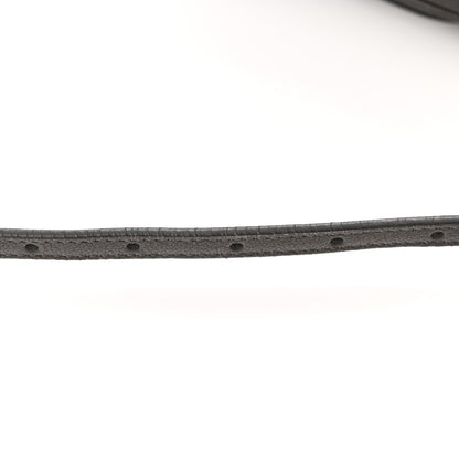 Saint Laurent Lambskin Monogram Lou Belt Bag Asphalt 14 of 16