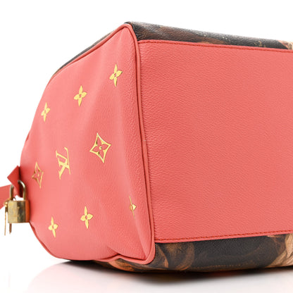 Louis Vuitton Masters Jeff Koons Boucher Speedy 30 8 of 9