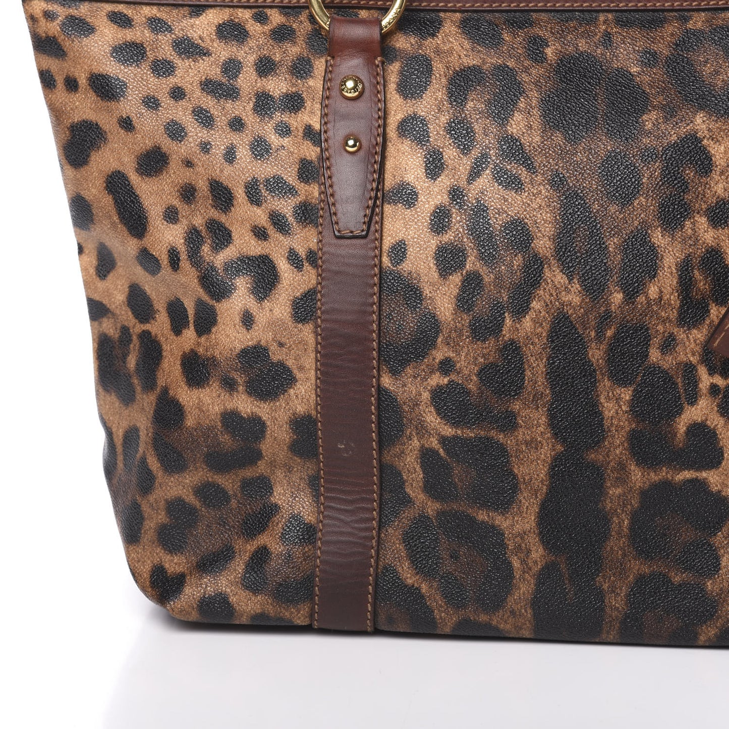 Coated Canvas Leopard Print Tote