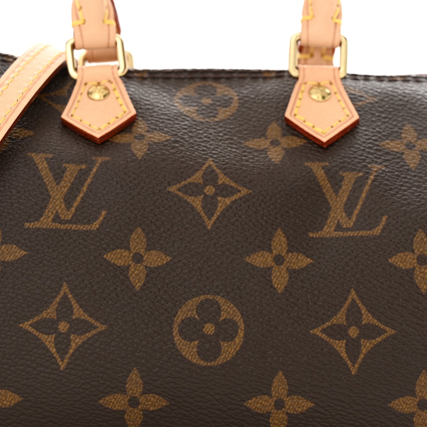 Monogram Nano Speedy