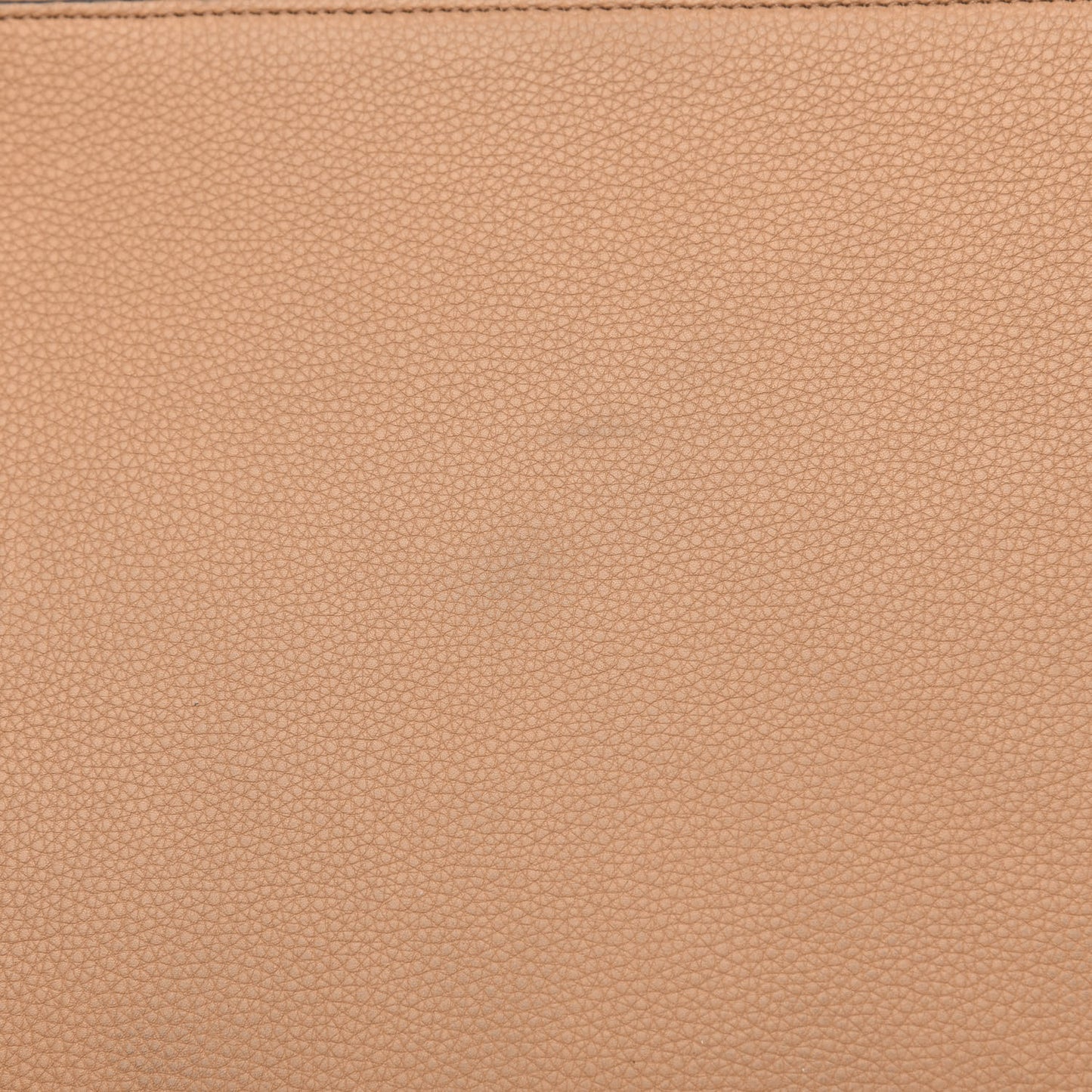 Baby Grained Calfskin Medium Phantom Luggage Camel