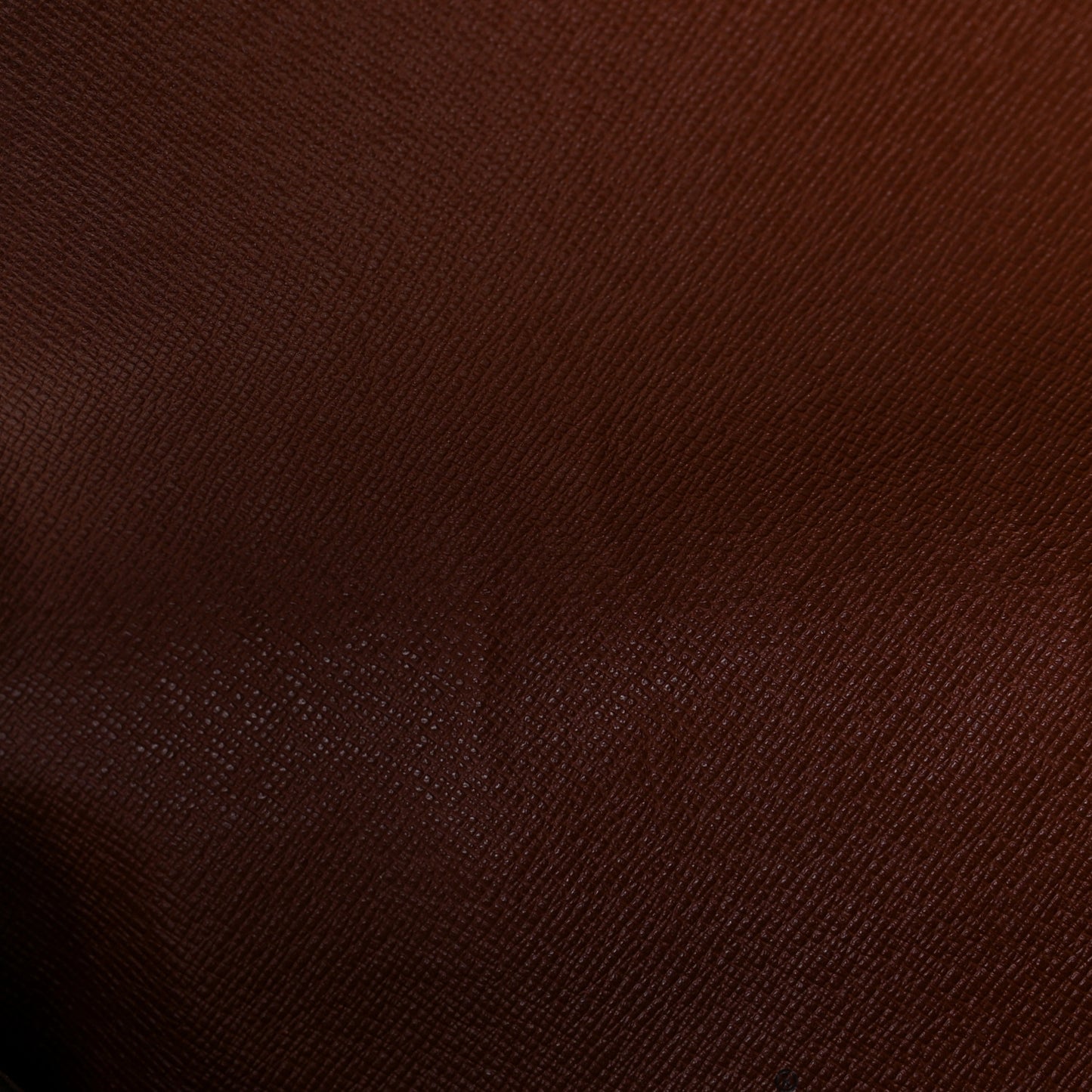Monogram Musette Salsa