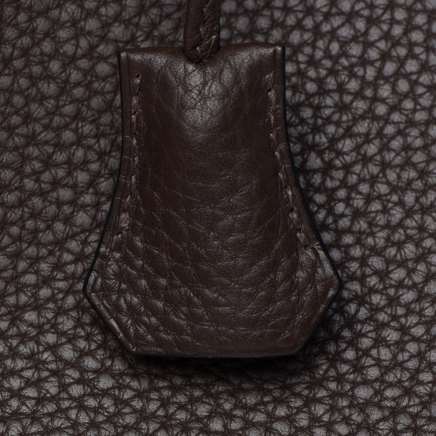 Taurillon Clemence Kelly Retourne 35 Chocolate