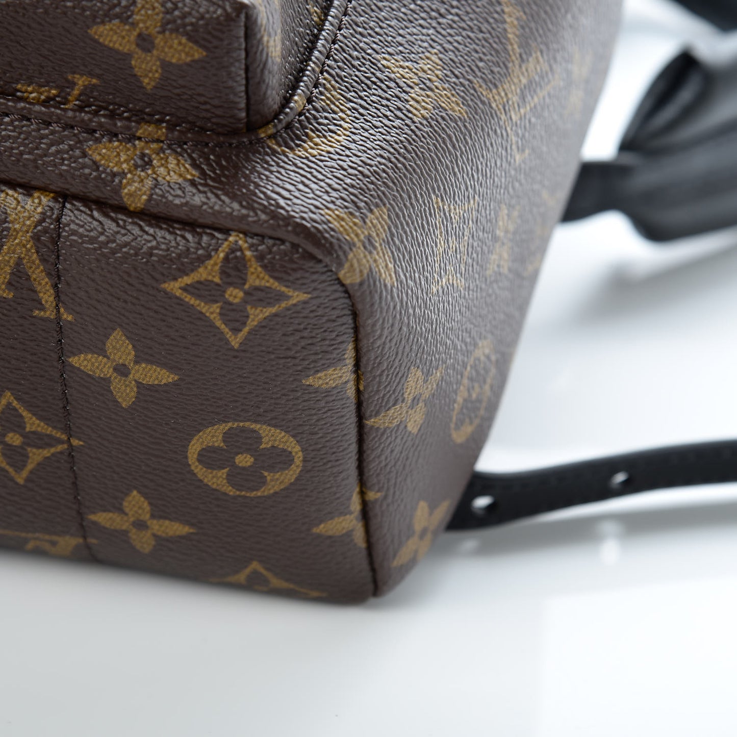 Monogram Palm Springs Backpack PM