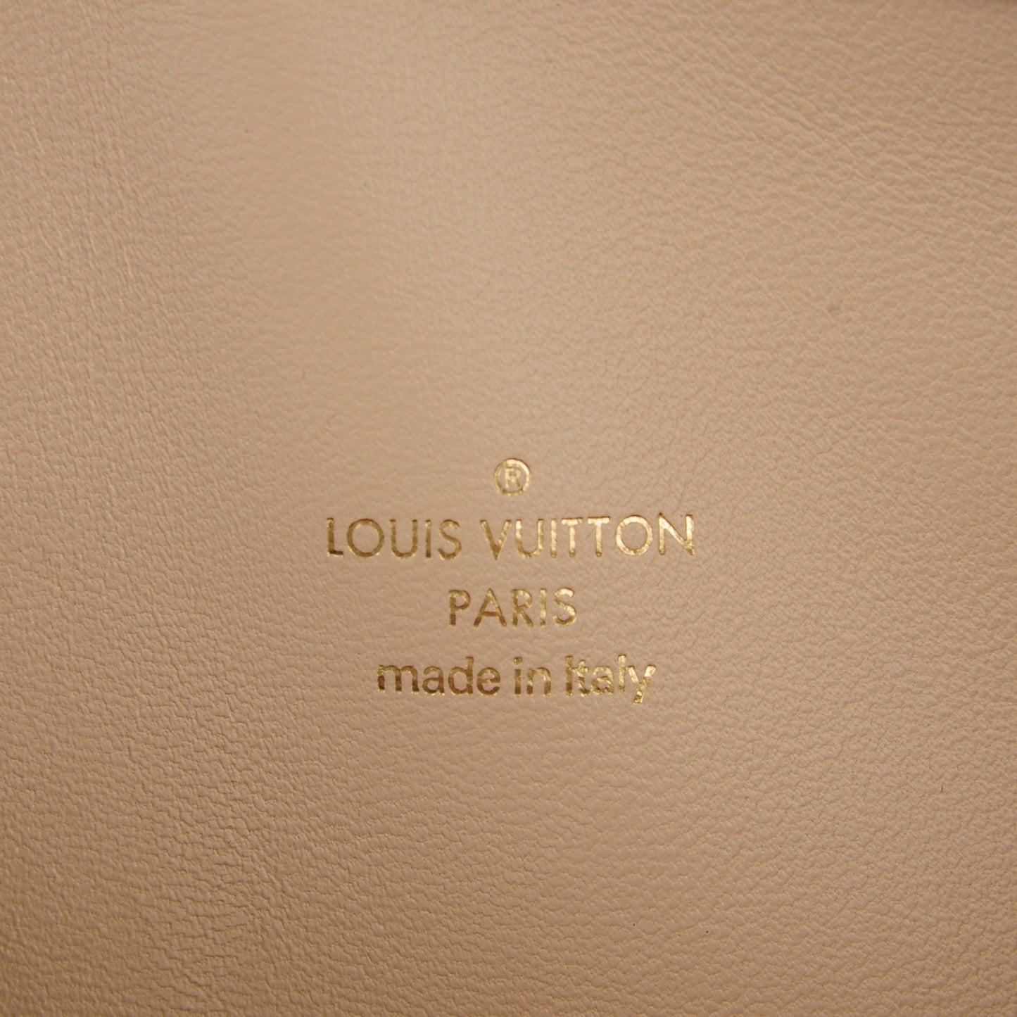 Monogram Speedy Amazon PM White Chocolat